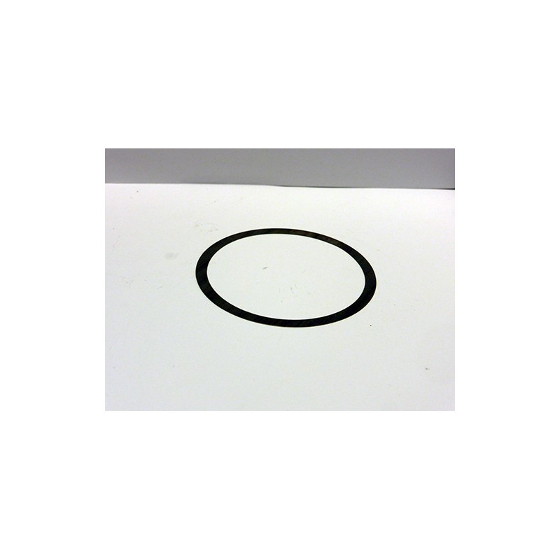 IAME X30 X30 shim 0.10 x30